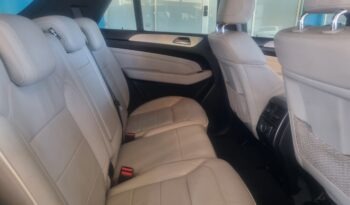2013 Mercedes-Benz ML250 BlueTec full