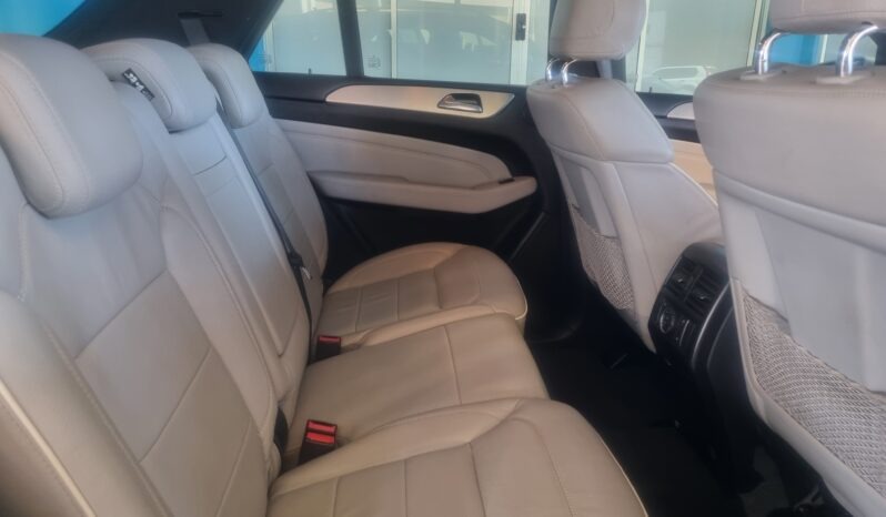 2013 Mercedes-Benz ML250 BlueTec full
